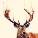 marauders--mischief avatar