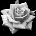 marauders-memorable-moments-blog avatar