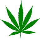 marauders-r4ever avatar