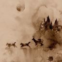 marauders5everr avatar