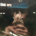 marcelcialkowski avatar