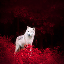 marchaprilmay avatar