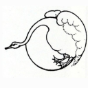 marchember86th avatar