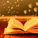 marcheurdusoir avatar