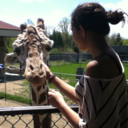 marciacra-blog avatar