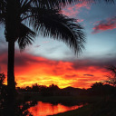 marcoislander avatar