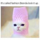 marcona-and-the-almonds avatar