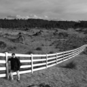 marcos-gibran avatar