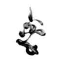 marcoscalatroni avatar