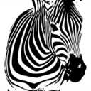 marcosolisworld avatar