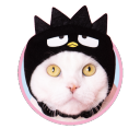 marcospacheco avatar