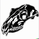 marcusoseman99 avatar