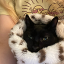 marcy-lan-starlight avatar