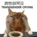 marcykinsmaki avatar