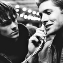 mardywinchester avatar