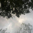 mariaassuntac-blog avatar