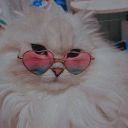 mariacamacarolxd avatar