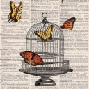 mariafernanda019 avatar