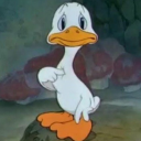 mariaferrnanda avatar