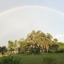 mariah-can-dream avatar