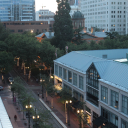 mariah-s-thoughts avatar