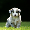 mariaharrison avatar