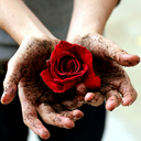 mariam-70077-blog-blog-blog avatar