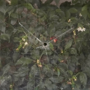 mariamacedodurao avatar