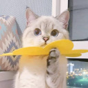 marianas-trench-is-not-that-deep avatar