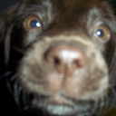 marianasaraza avatar