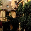 mariannewiththesteadyhands avatar