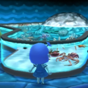 mariascrossing avatar