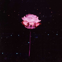 mariaz96-blog1 avatar