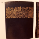 marieamourette avatar