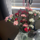 mariellathemushroo avatar