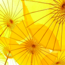 marigold-memory avatar