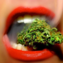 marijuana-madness-blog avatar