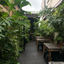 marijuanahaha avatar