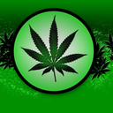 marijuanaldusunce avatar