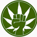 marijuanandmusic avatar