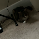 marimba-bimbo avatar