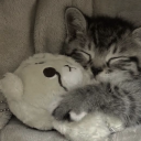 marina-zucker avatar