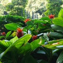 marina1986izz avatar