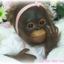 marine-prince avatar