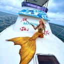 marinechuishigaki avatar