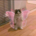 marinns-stuff avatar