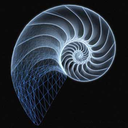 mariofibonacci avatar