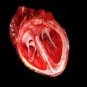 mariogutierres avatar