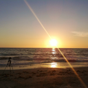 marionmillsap avatar