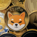 mariotrip-blog avatar